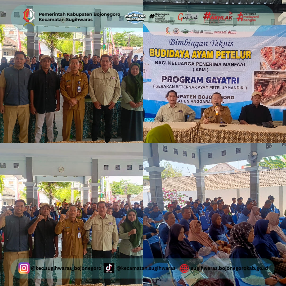 Dorong Kemandirian, KPM Sugihwaras Ikuti Bimtek Ayam Petelur Program GAYATRI